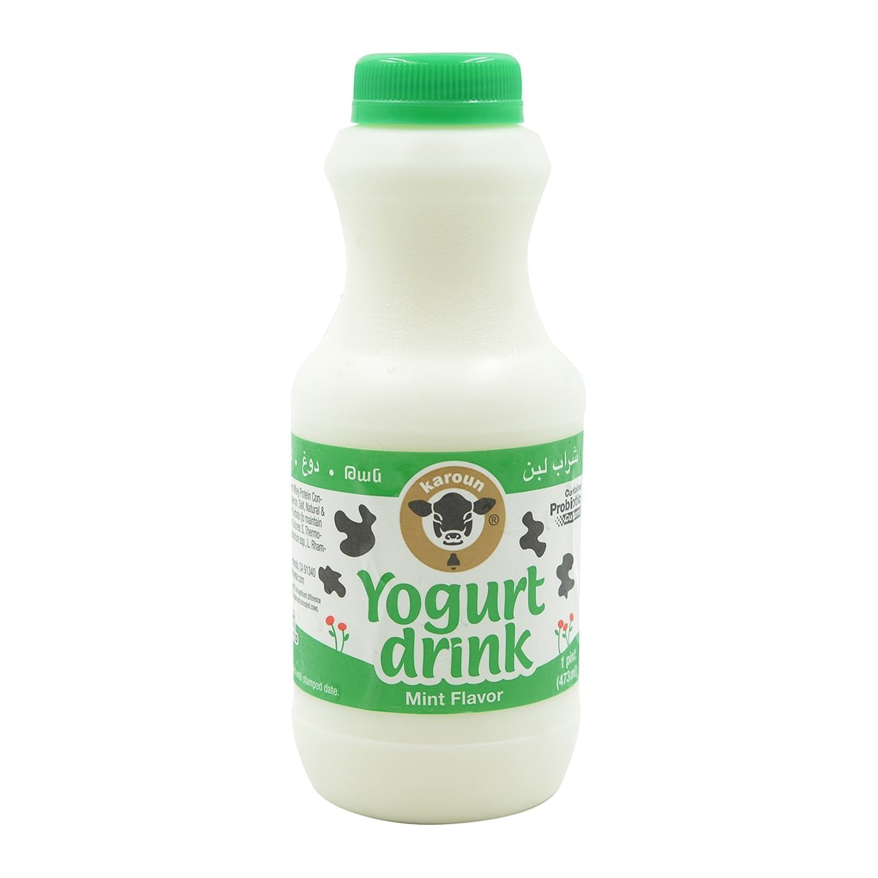 Karoun Yogurt Mint 473ml