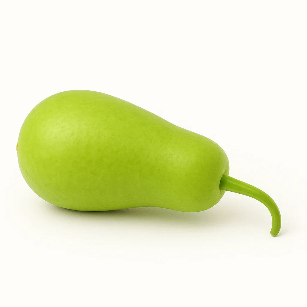 Lauki / Bottle Gaurd