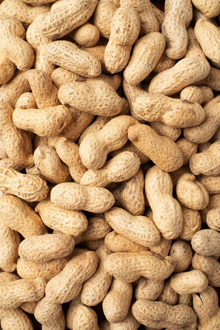 Raw Peanuts