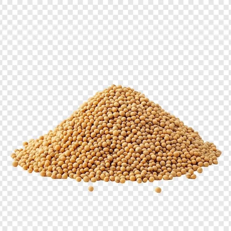 Pile of soybeans on a transparent background
